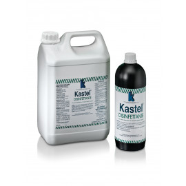 KASTEL DISINFETTANTE PMC BASE CLORO KG 1