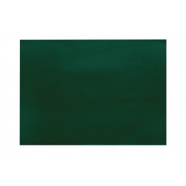 TOVAGLIETTA 40X30 VERDE PZ 250 